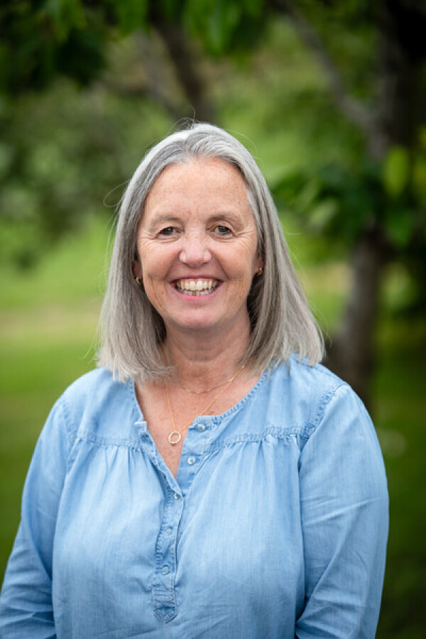 Mrs Gillian Rylance Image